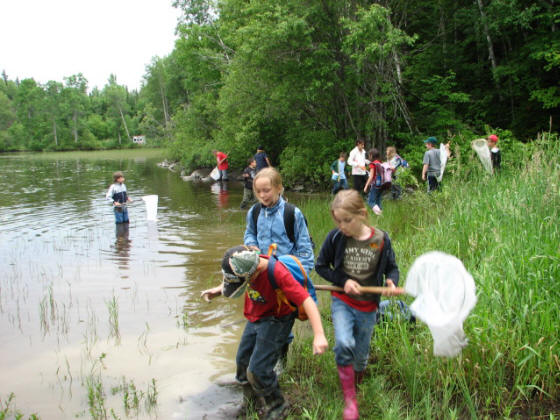 À la recherche d'organismes aquatiques À la recherche d'organismes aquatiques